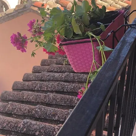 Madomus Apartment Pula